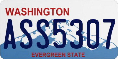 WA license plate ASS5307
