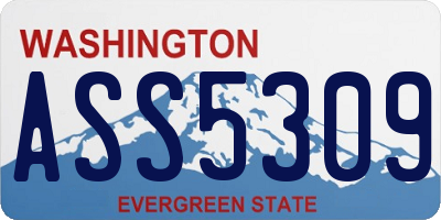 WA license plate ASS5309