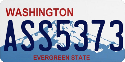 WA license plate ASS5373