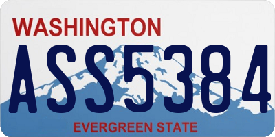 WA license plate ASS5384