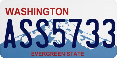 WA license plate ASS5733