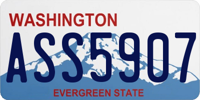 WA license plate ASS5907
