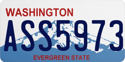 WA license plate ASS5973