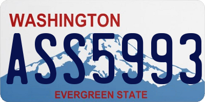 WA license plate ASS5993