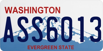 WA license plate ASS6013