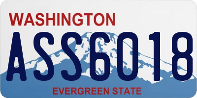 WA license plate ASS6018