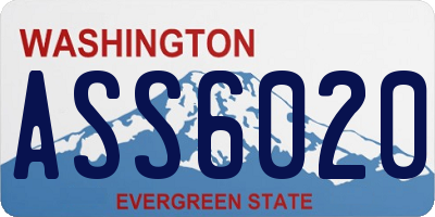 WA license plate ASS6020
