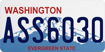 WA license plate ASS6030