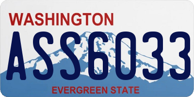 WA license plate ASS6033