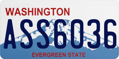 WA license plate ASS6036