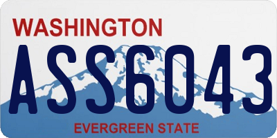 WA license plate ASS6043