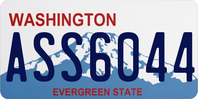 WA license plate ASS6044