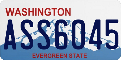 WA license plate ASS6045