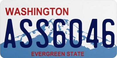 WA license plate ASS6046