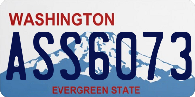 WA license plate ASS6073