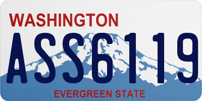 WA license plate ASS6119