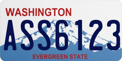 WA license plate ASS6123