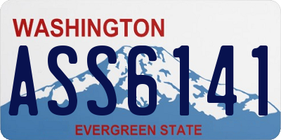 WA license plate ASS6141