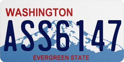 WA license plate ASS6147