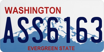 WA license plate ASS6163
