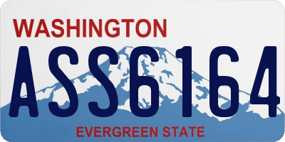 WA license plate ASS6164