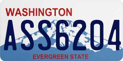 WA license plate ASS6204