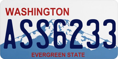 WA license plate ASS6233