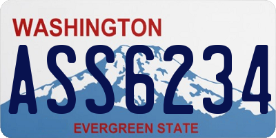 WA license plate ASS6234