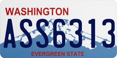 WA license plate ASS6313