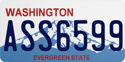 WA license plate ASS6599
