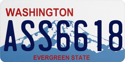 WA license plate ASS6618