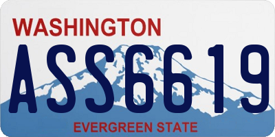 WA license plate ASS6619
