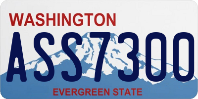 WA license plate ASS7300