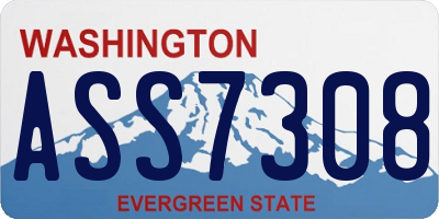 WA license plate ASS7308