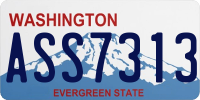 WA license plate ASS7313