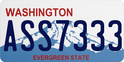WA license plate ASS7333