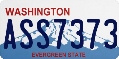 WA license plate ASS7373