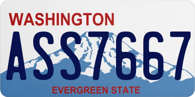 WA license plate ASS7667