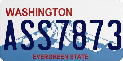 WA license plate ASS7873