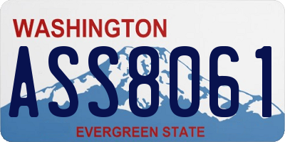 WA license plate ASS8061