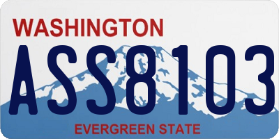WA license plate ASS8103