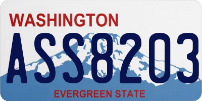 WA license plate ASS8203