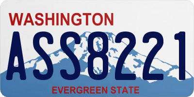 WA license plate ASS8221