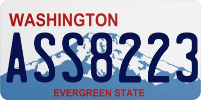 WA license plate ASS8223