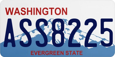 WA license plate ASS8225
