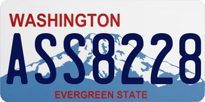WA license plate ASS8228