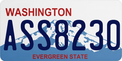 WA license plate ASS8230