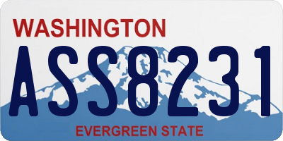 WA license plate ASS8231