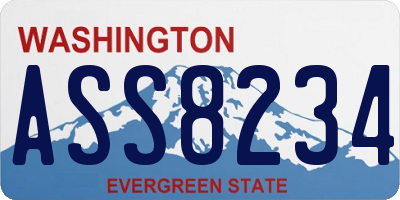 WA license plate ASS8234