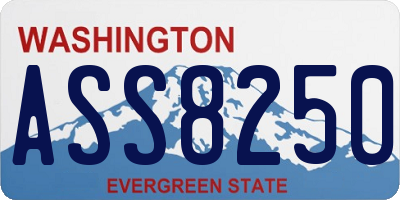 WA license plate ASS8250
